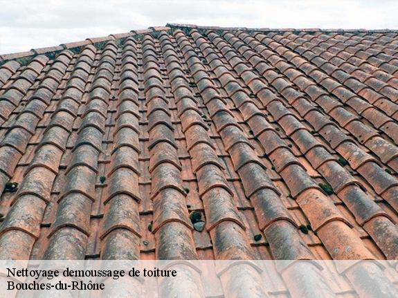 Nettoyage demoussage de toiture Bouches-du-Rhône 