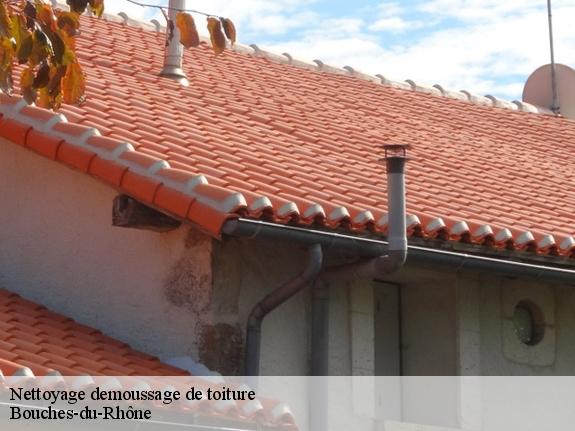 Nettoyage demoussage de toiture Bouches-du-Rhône 