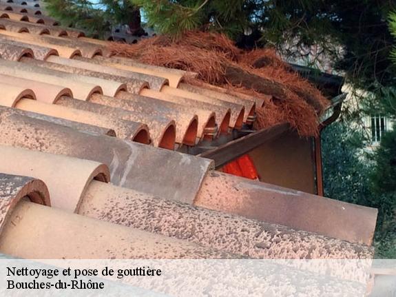 Nettoyage et pose de gouttière Bouches-du-Rhône 