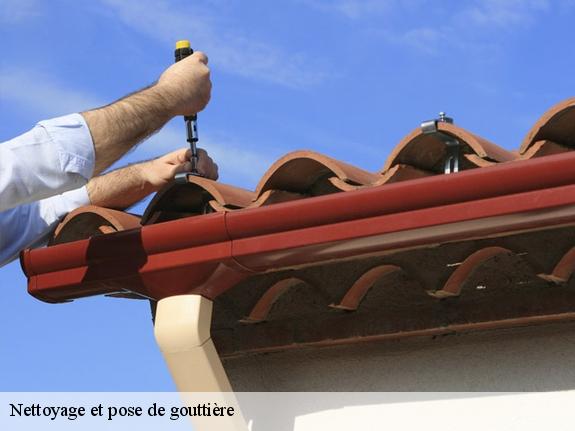 Nettoyage et pose de gouttière Bouches-du-Rhône 
