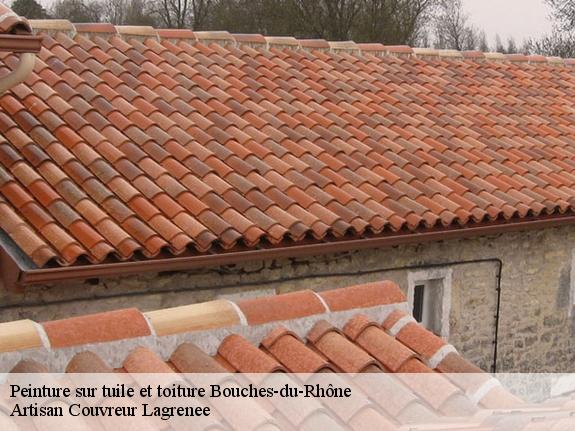 Peinture sur tuile et toiture Bouches-du-Rhône 