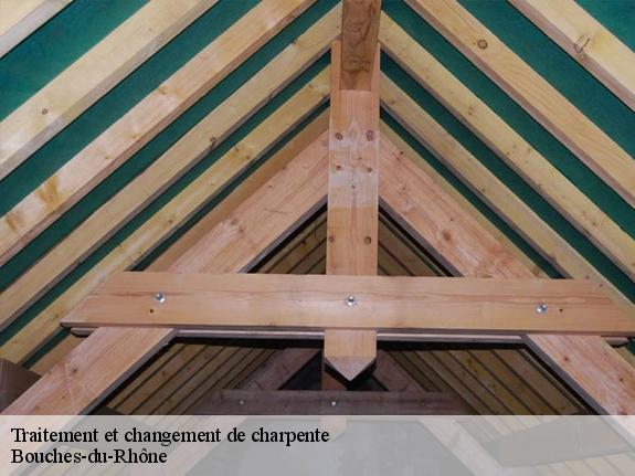 Traitement et changement de charpente Bouches-du-Rhône 