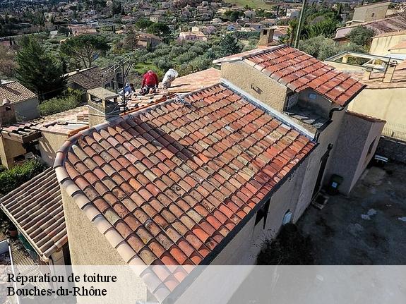Réparation de toiture Bouches-du-Rhône 