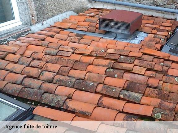 Urgence fuite de toiture Bouches-du-Rhône 