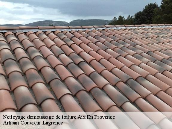 Nettoyage demoussage de toiture  aix-en-provence-13090 Artisan Couvreur Lagrenee