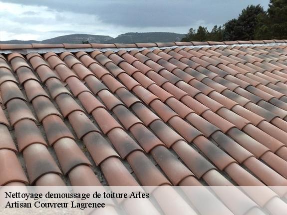 Nettoyage demoussage de toiture  arles-13200 Artisan Couvreur Lagrenee