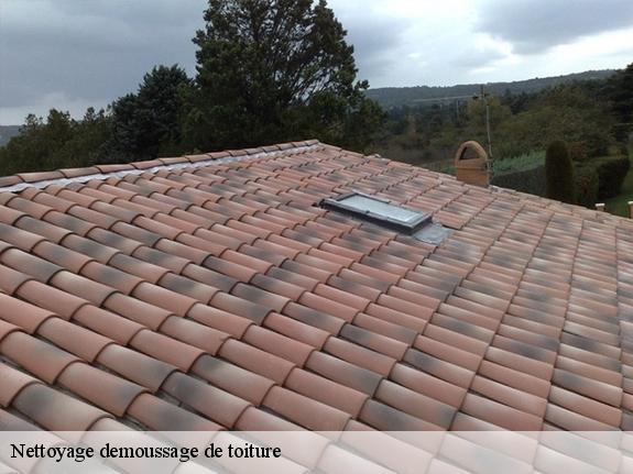 Nettoyage demoussage de toiture  13121