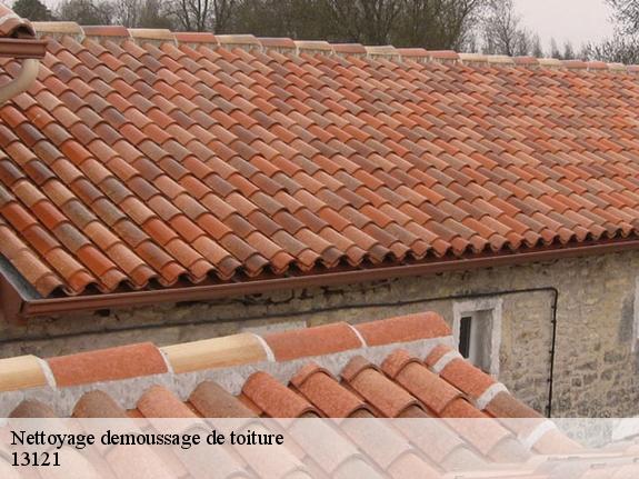 Nettoyage demoussage de toiture  13121