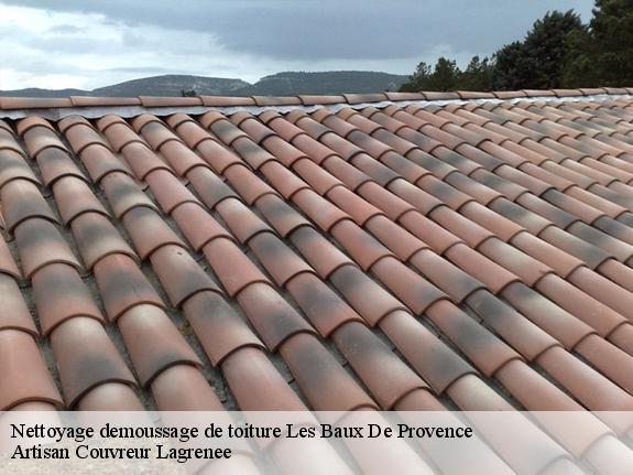 Nettoyage demoussage de toiture  les-baux-de-provence-13520 Artisan Couvreur Lagrenee