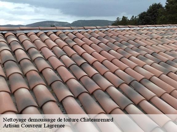 Nettoyage demoussage de toiture  chateaurenard-13160 Artisan Couvreur Lagrenee