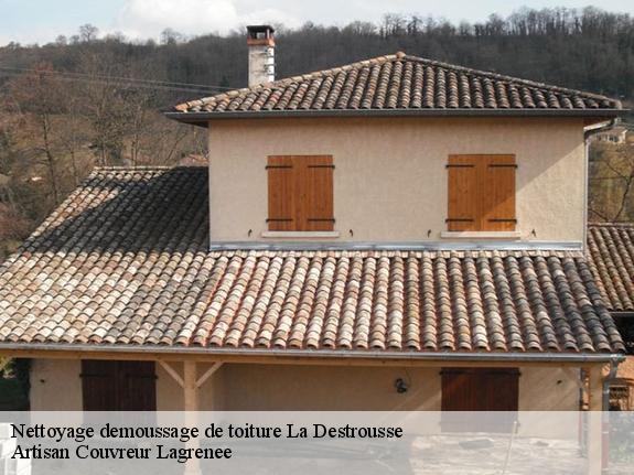 Nettoyage demoussage de toiture  13112