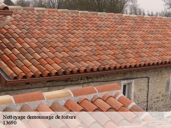 Nettoyage demoussage de toiture  13690