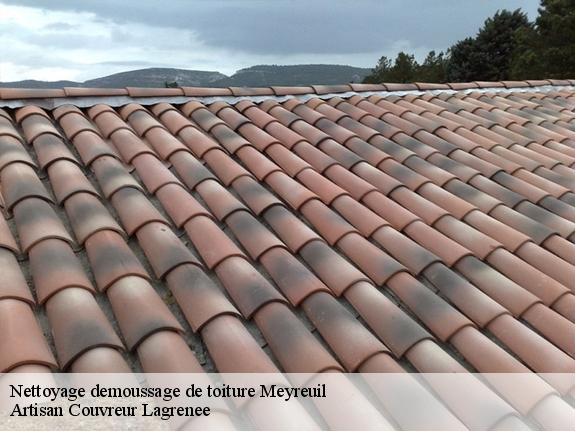 Nettoyage demoussage de toiture  meyreuil-13590 Lagrenee Couvreture