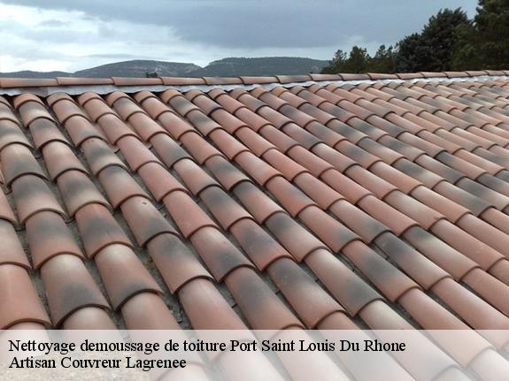 Nettoyage demoussage de toiture  port-saint-louis-du-rhone-13230 Artisan Couvreur Lagrenee