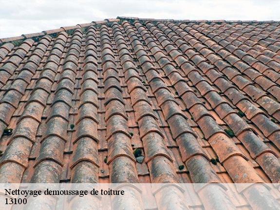 Nettoyage demoussage de toiture  13100