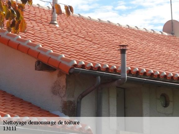 Nettoyage demoussage de toiture  13111