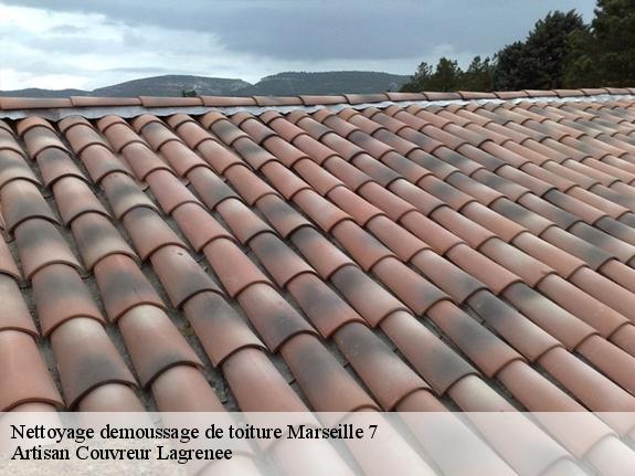 Nettoyage demoussage de toiture  marseille-7-13007 Artisan Couvreur Lagrenee