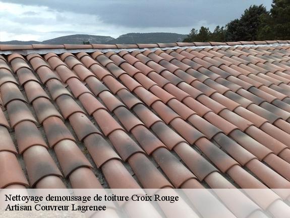 Nettoyage demoussage de toiture  13013