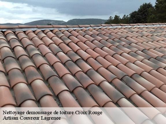 Nettoyage demoussage de toiture  croix-rouge-13013 Lagrenee Couvreture