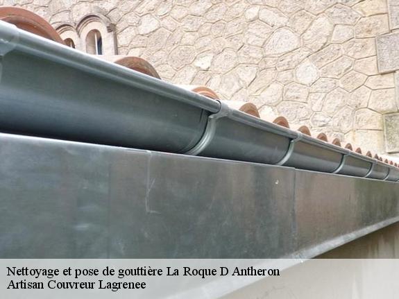 Nettoyage et pose de gouttière  13640