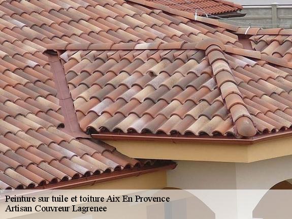 Peinture sur tuile et toiture  aix-en-provence-13090 Artisan Couvreur Lagrenee
