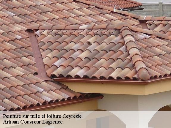 Peinture sur tuile et toiture  ceyreste-13600 Artisan Couvreur Lagrenee