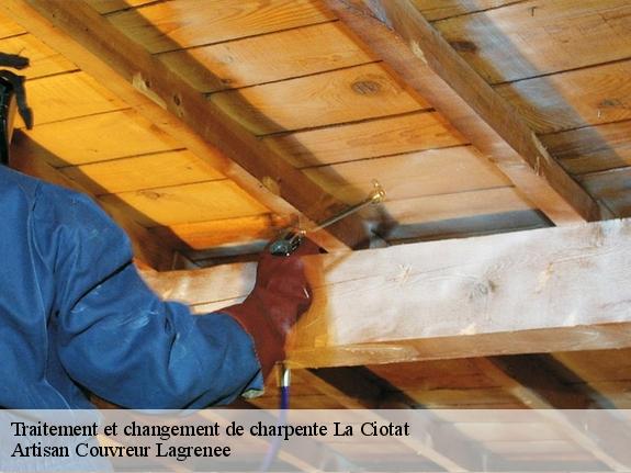 Traitement et changement de charpente  13600