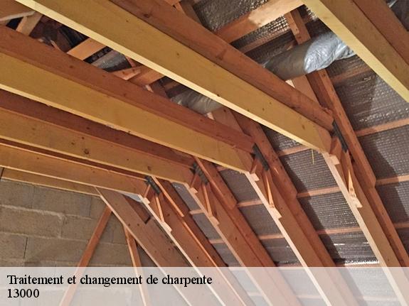 Traitement et changement de charpente  13000