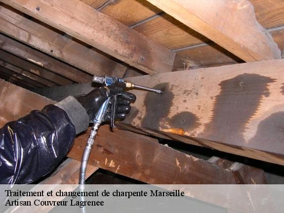 Traitement et changement de charpente  13000