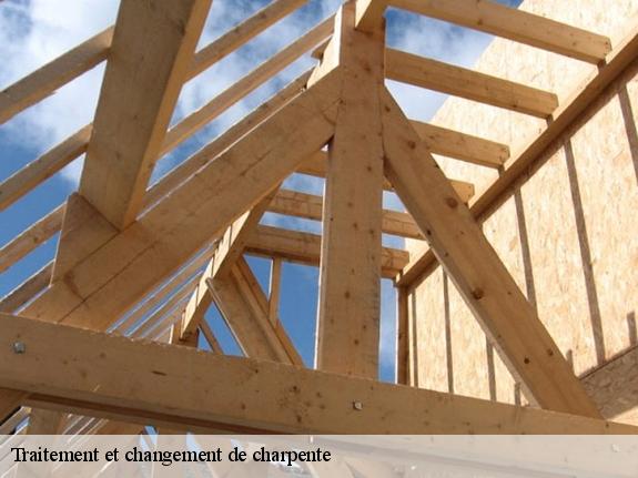 Traitement et changement de charpente  13590
