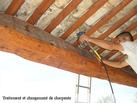 Traitement et changement de charpente  13750