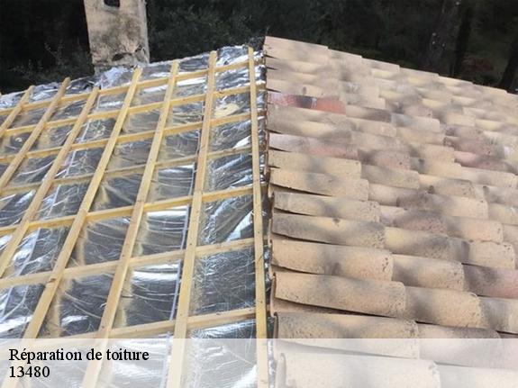 Réparation de toiture  13480