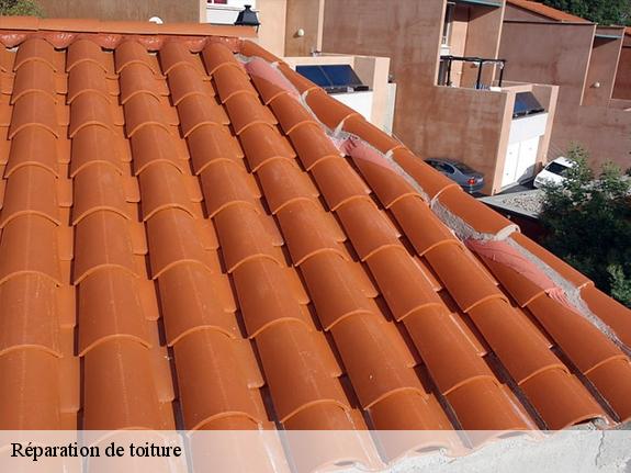 Réparation de toiture  13760