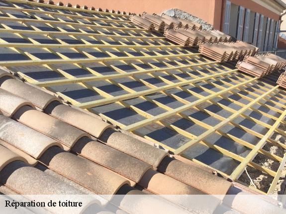 Réparation de toiture  13821