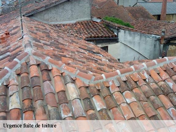 Urgence fuite de toiture  13090