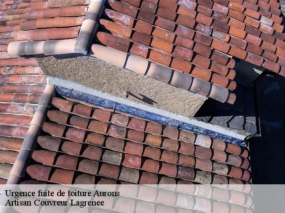 Urgence fuite de toiture  aurons-13121 Artisan Couvreur Lagrenee