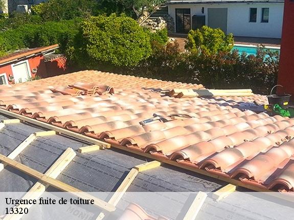 Urgence fuite de toiture  13320