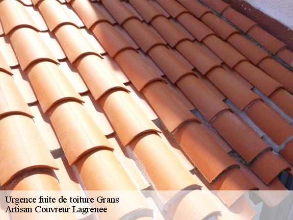 Urgence fuite de toiture  13450