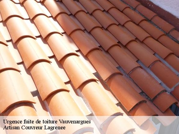 Urgence fuite de toiture  13126