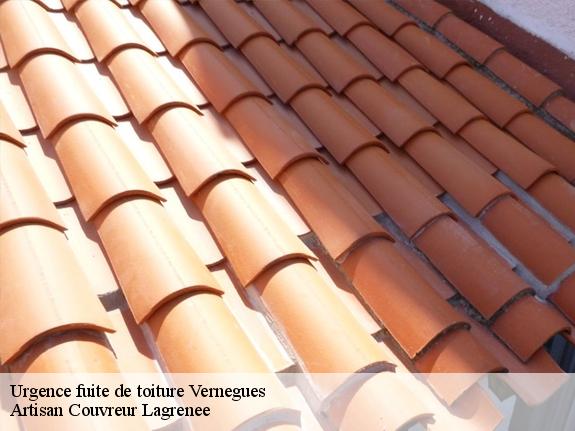 Urgence fuite de toiture  13116